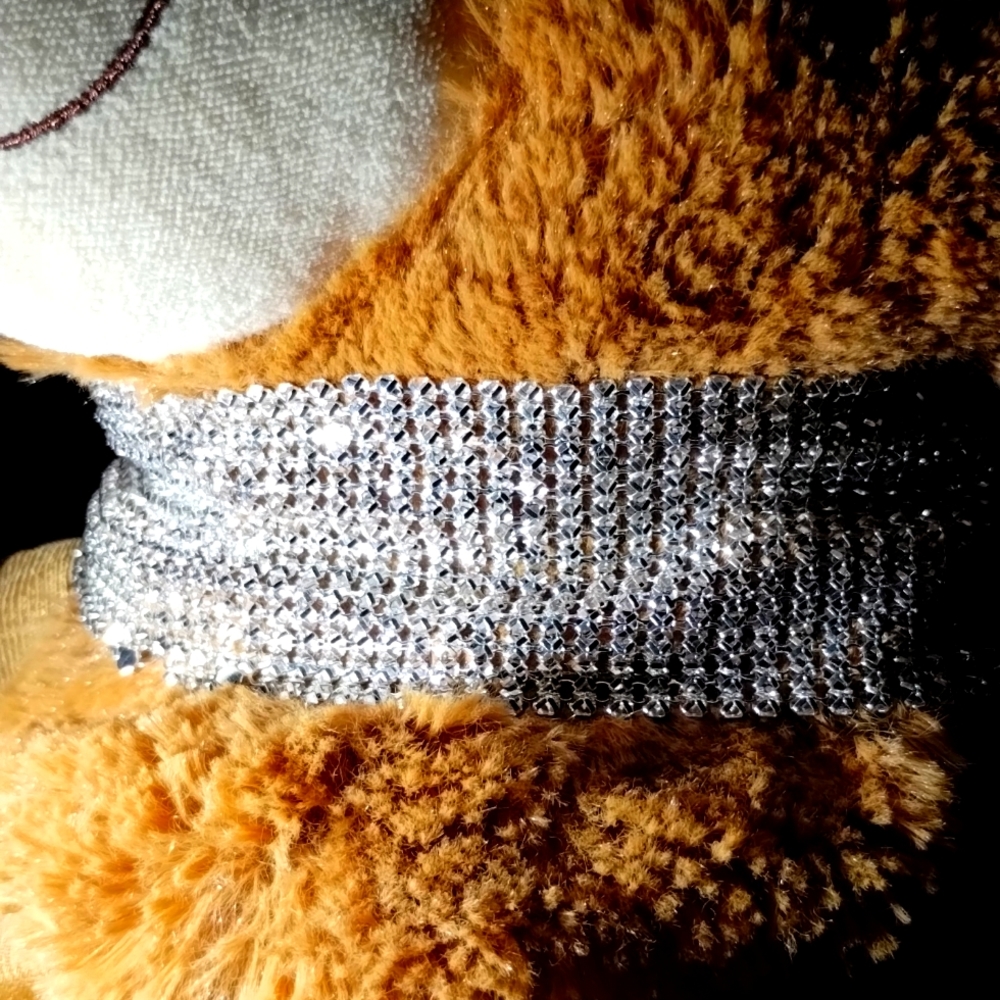 Claire's Ladies Choker